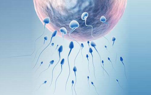 single parent surrogacy