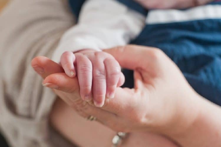 surrogacy ivf process